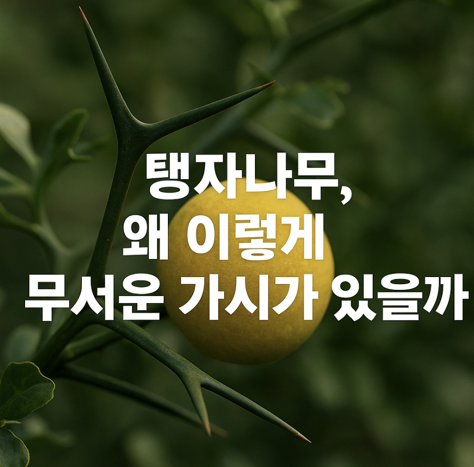 탱자나무, 왜 이렇게 무서운 가시가 있을까?