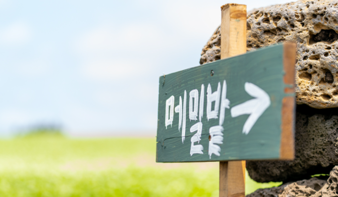 브롬왓 메밀밭