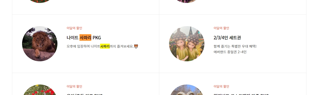 사파리 스페셜 투어 요금