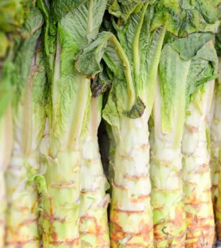 궁채 효능 부작용 나물 고르는법 칼로리