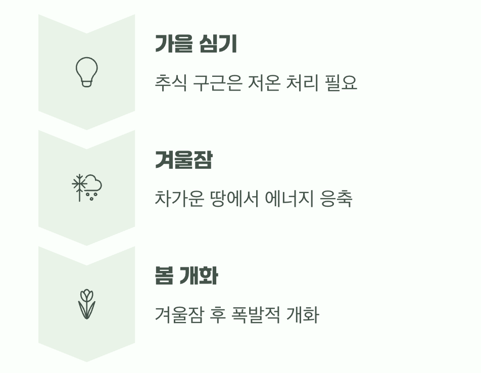 가을에 심는 약속, 겨울잠의 비밀