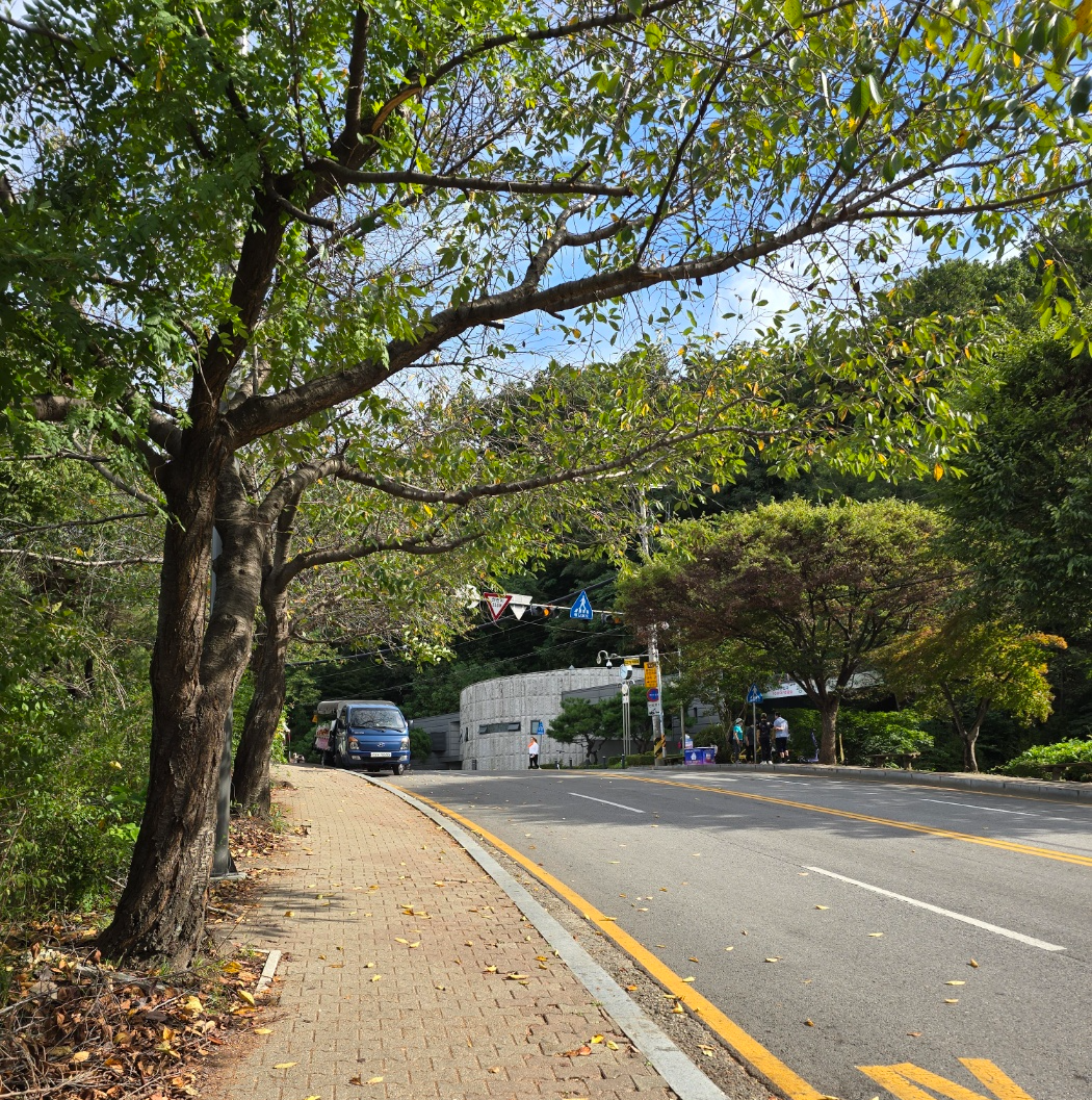 주차장에서 등산로 입구까지 가는 길