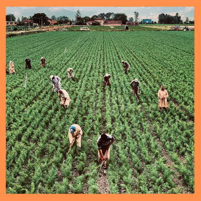 농식품바우처지원대상