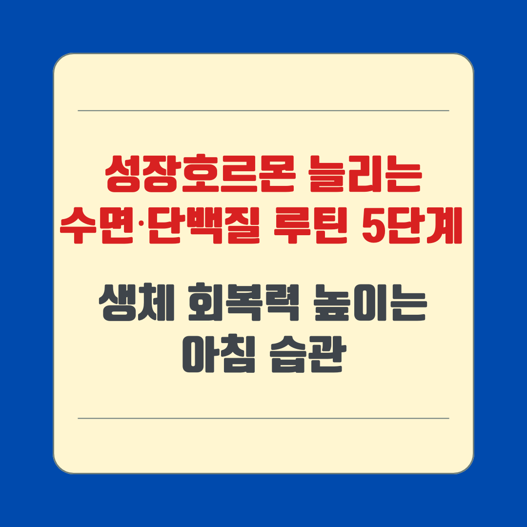 성장호르몬 늘리는 수면·단백질 루틴 5단계 – 생체 회복력 높이는 아침 습관