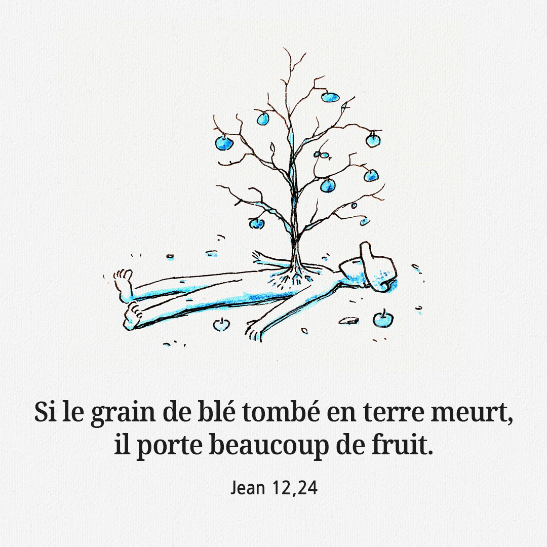 Si le grain de bl&eacute; tomb&eacute; en terre meurt, il porte beaucoup de fruit. (Jean 12,24)