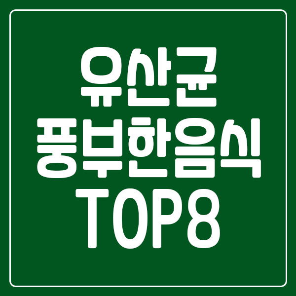 유산균 풍부한 음식