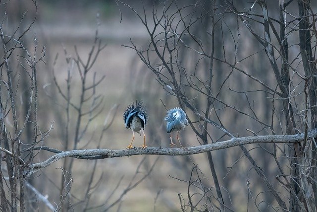 2월 대표 기도문 모음