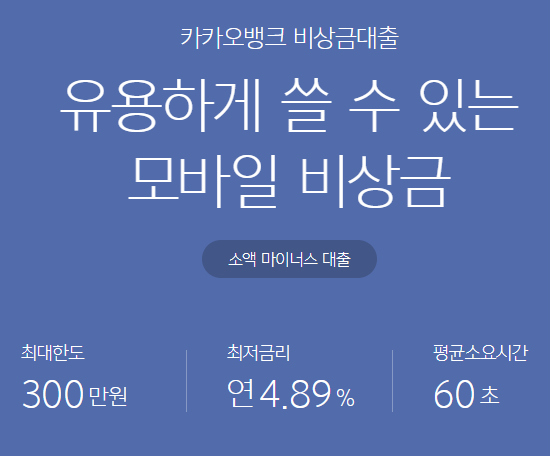 소액대출 300만원