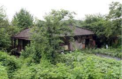 집중호우 시 행동요령 완벽 가이드