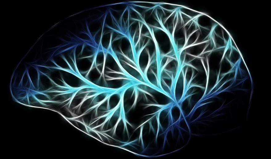 블루베리 효능 / 부작용 (+칼로리와 영양성분) 블루베리 효능 / 부작용 (+칼로리와 영양성분)