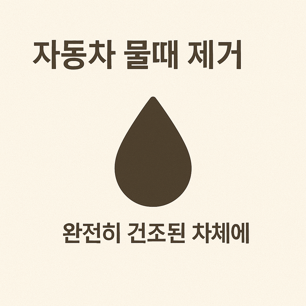 자동차 세차 후 물때 제거하는 완벽한 방법 총정리!