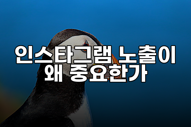 인스타그램 노출이 왜 중요한가