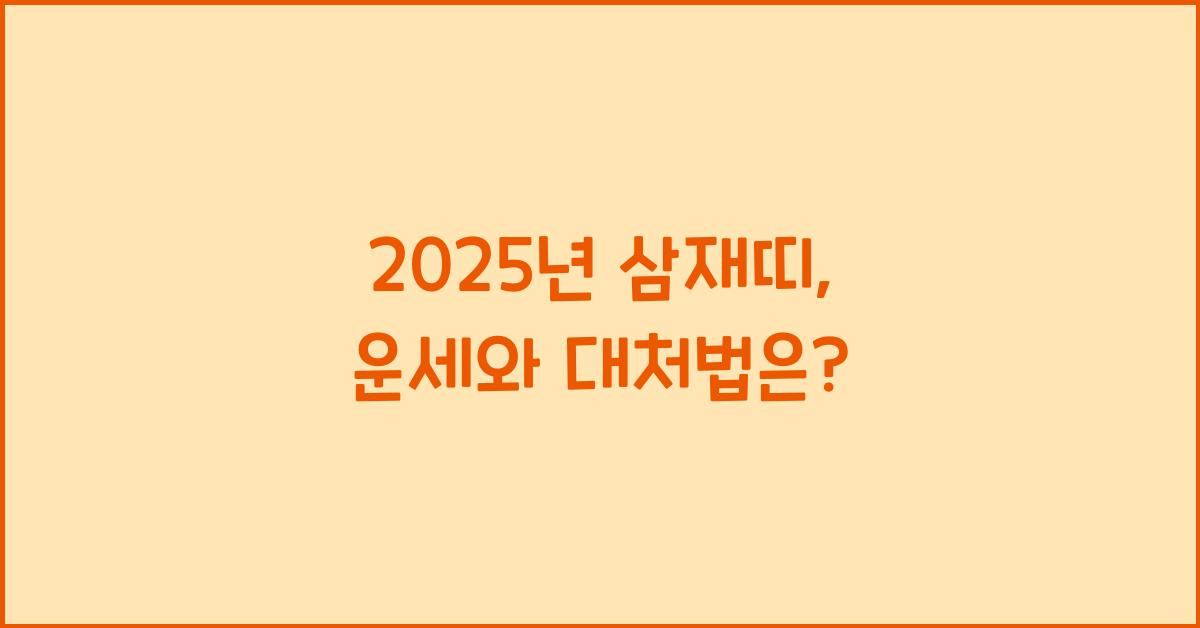 2025년 삼재띠