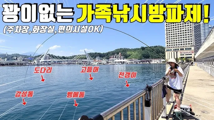 낚시 대상어별 시즌 감성돔 도다리 농어 전갱이 파악하기_1
