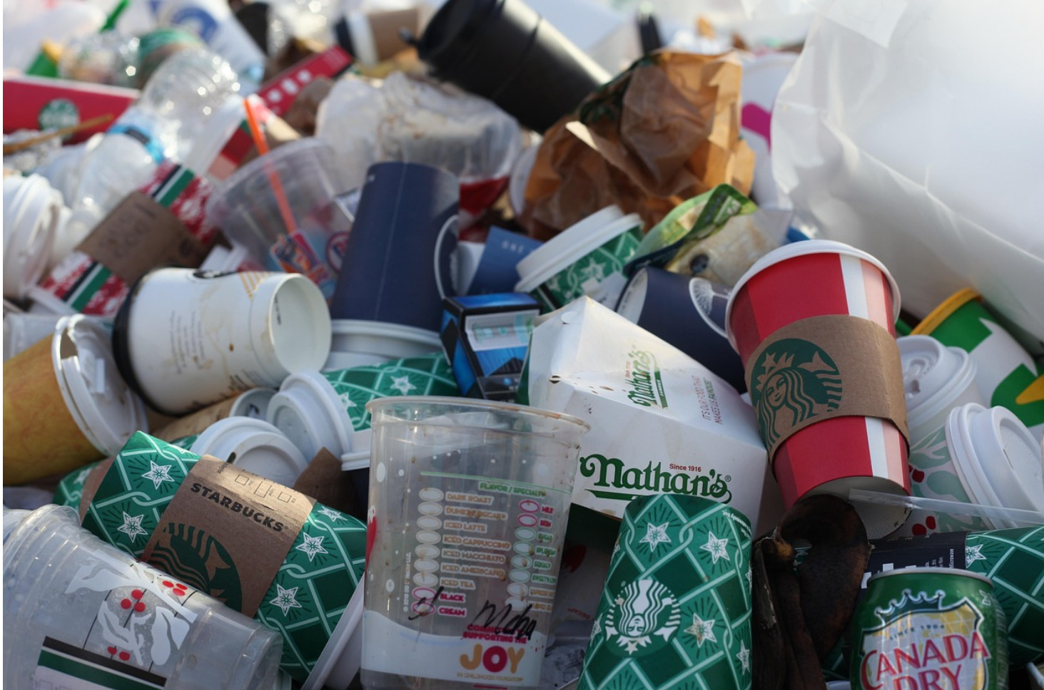 일회용품 사용 실태와 대안 제안