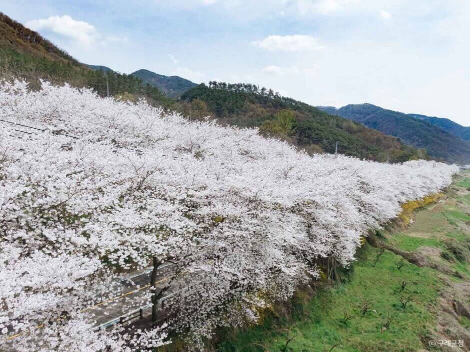 구례 가볼만한곳 베스트 10