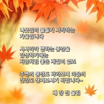 가을 인사말 문구 모음 정리_24