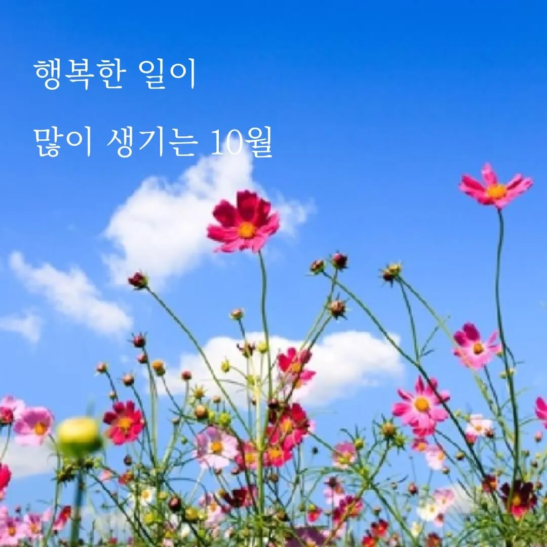 10월 인사말 문구 모음 정리_3