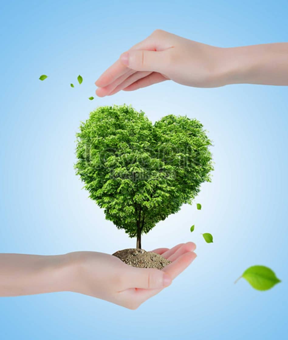 서울시 기후동행카드