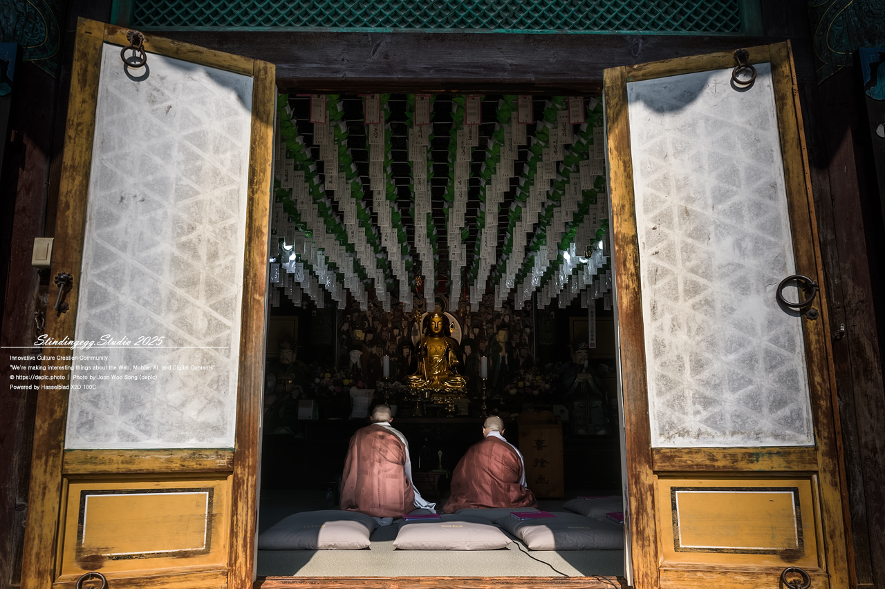 #보은 #법주사 #속리산 #스님 #승려 #불교