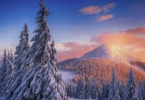 INFP 유형 특징 분석