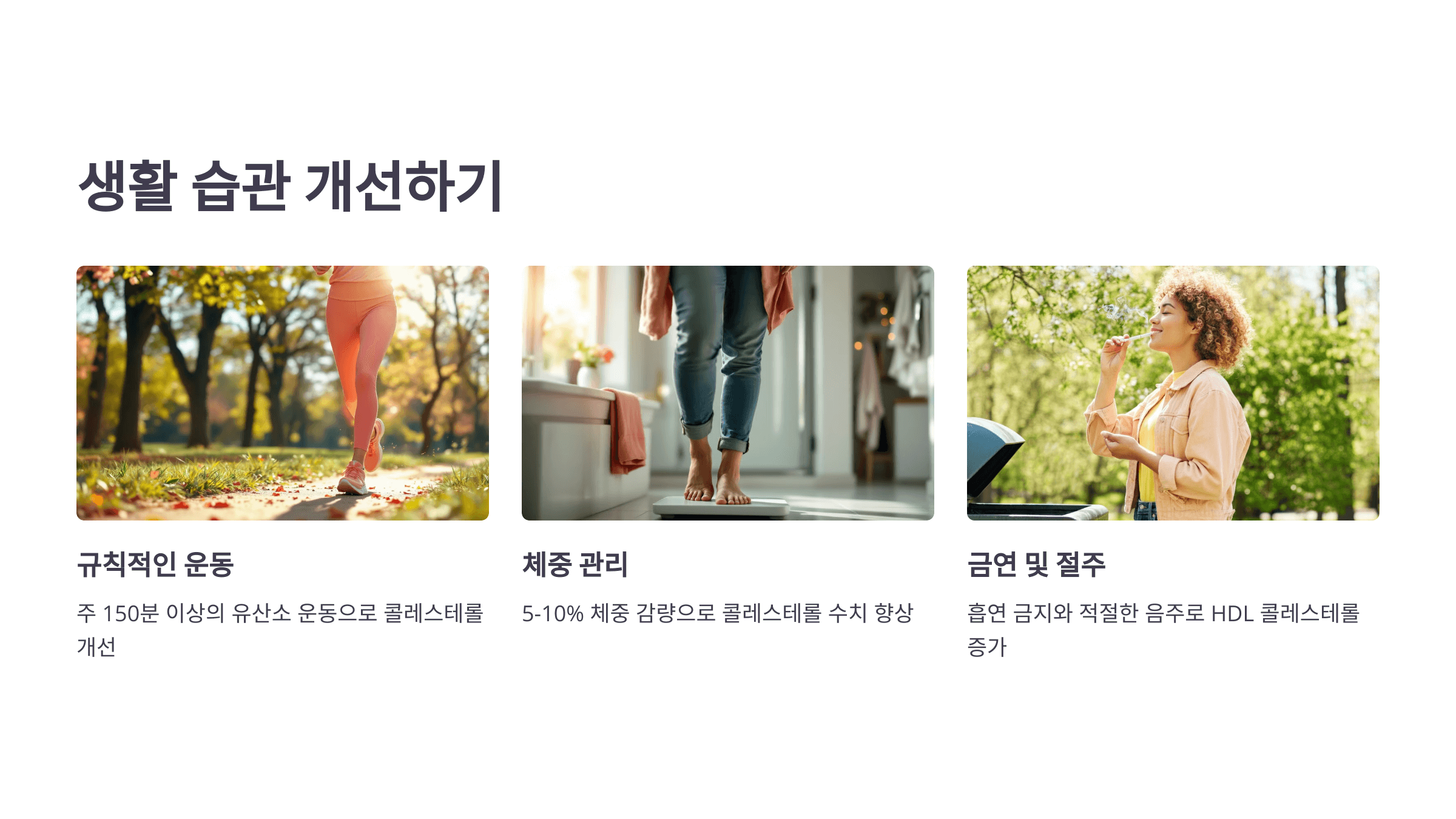 콜레스테롤과 관련된 사진입니다.