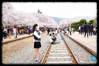 매화가 유명한 전국 여행지 톱 5