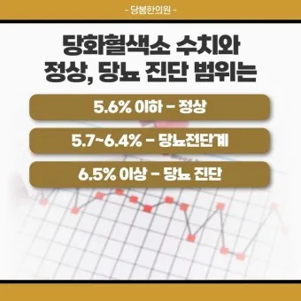 나이별 당화혈색소 수치 목표 기준_17