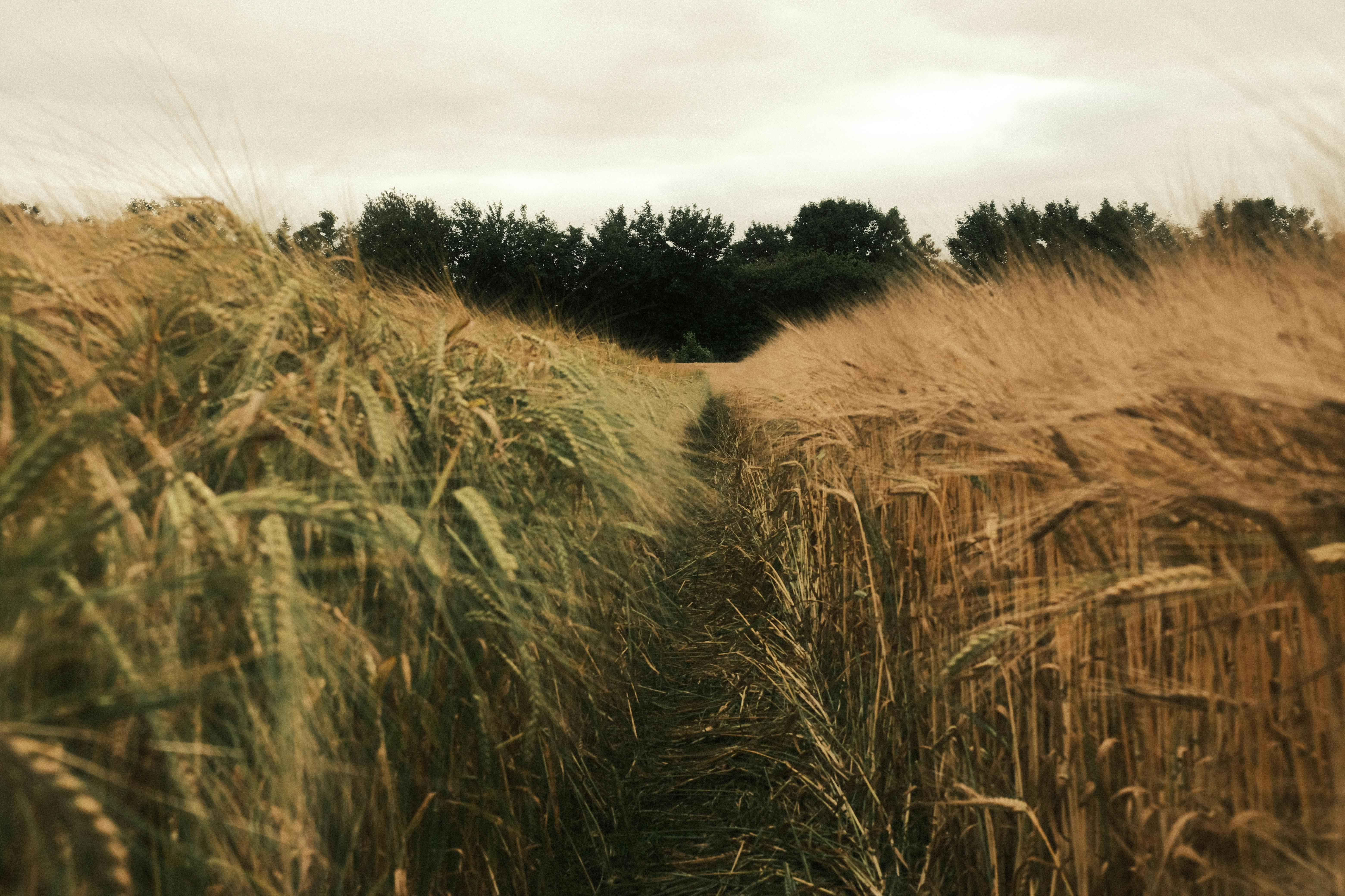 나의 해방일지 리뷰용 이미지
