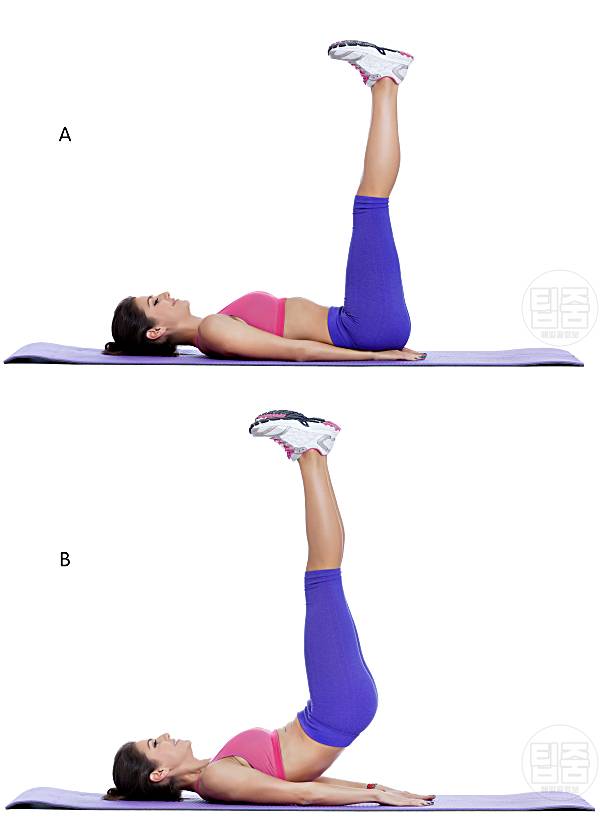 뱃살 빼는 최고의 운동 리버스크런치