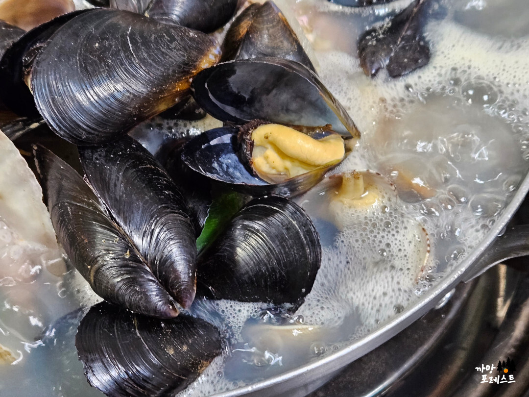 16호 원조 할머니 손 칼국수 조개