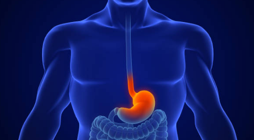 위암 초기증상, 수술비용, 수술후 회복기간 총정리 (2024ver)