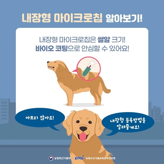 반려견 등록