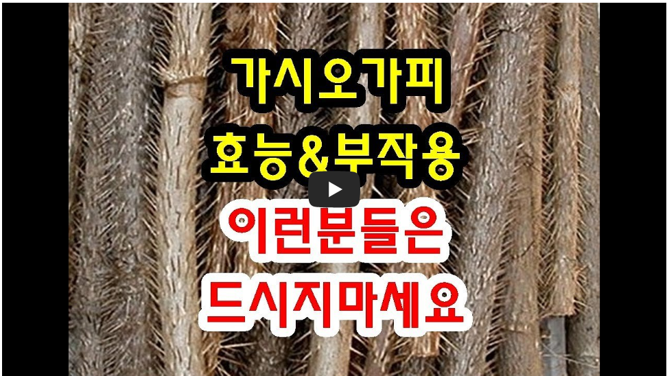 오가피 효능 및 부작용
