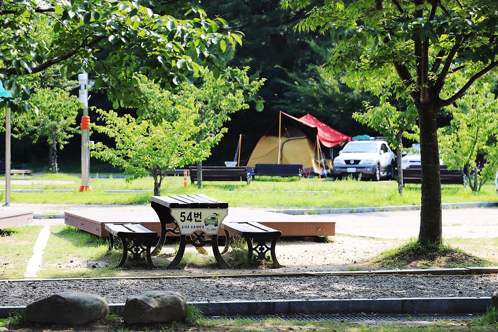 레전드 캠핑장 송지호오토캠핑장 소개
