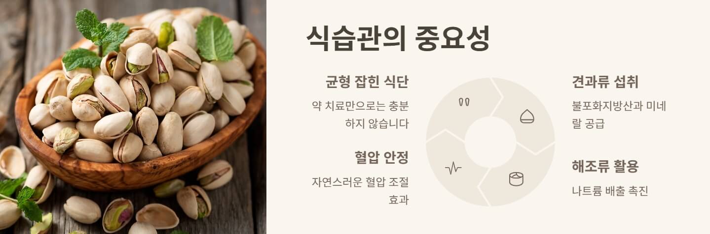 고혈압에 좋은 견과류 해조류