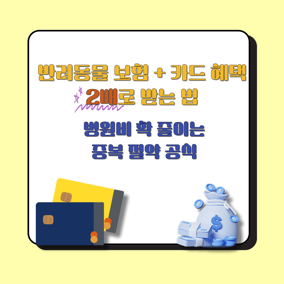 반려동물 보험 + 카드 혜택 2배로 받는 법 │ 병원비 확 줄이는 중복 절약 공식