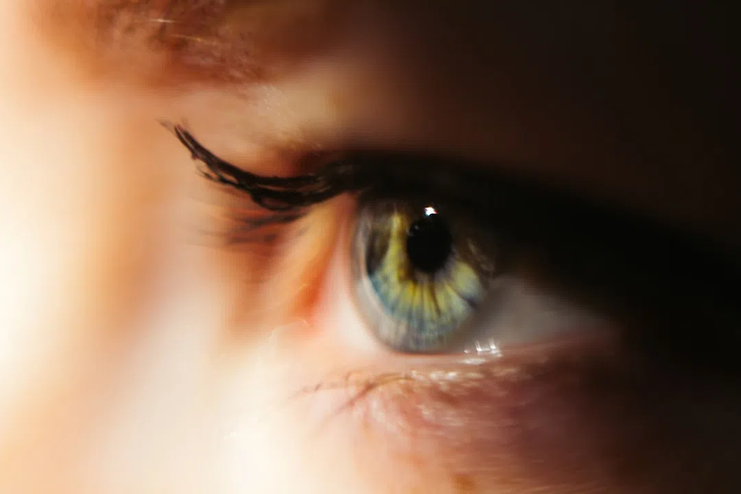 눈물 흘림증 안구건조증