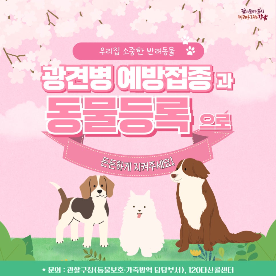 광견병 예방접종