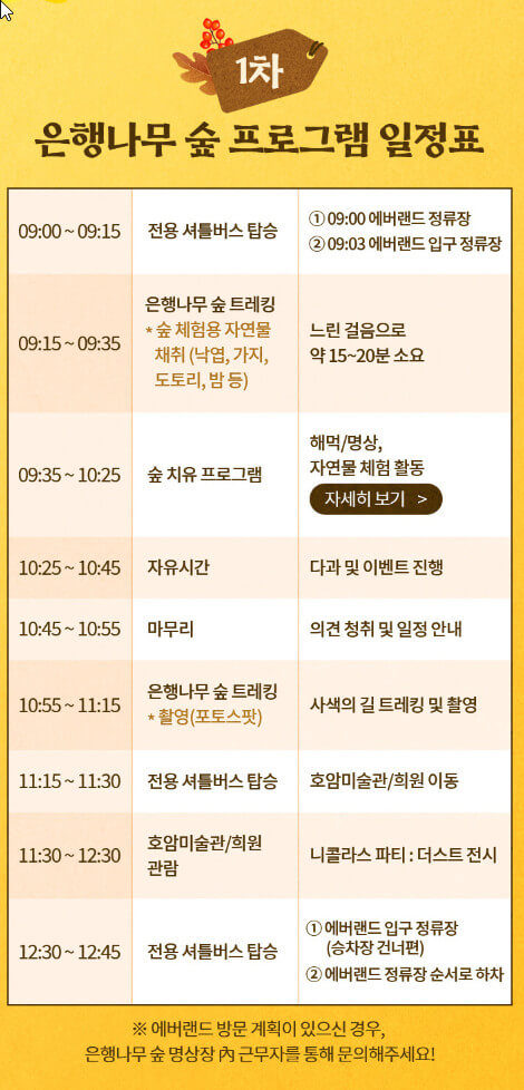 은행나무 숲