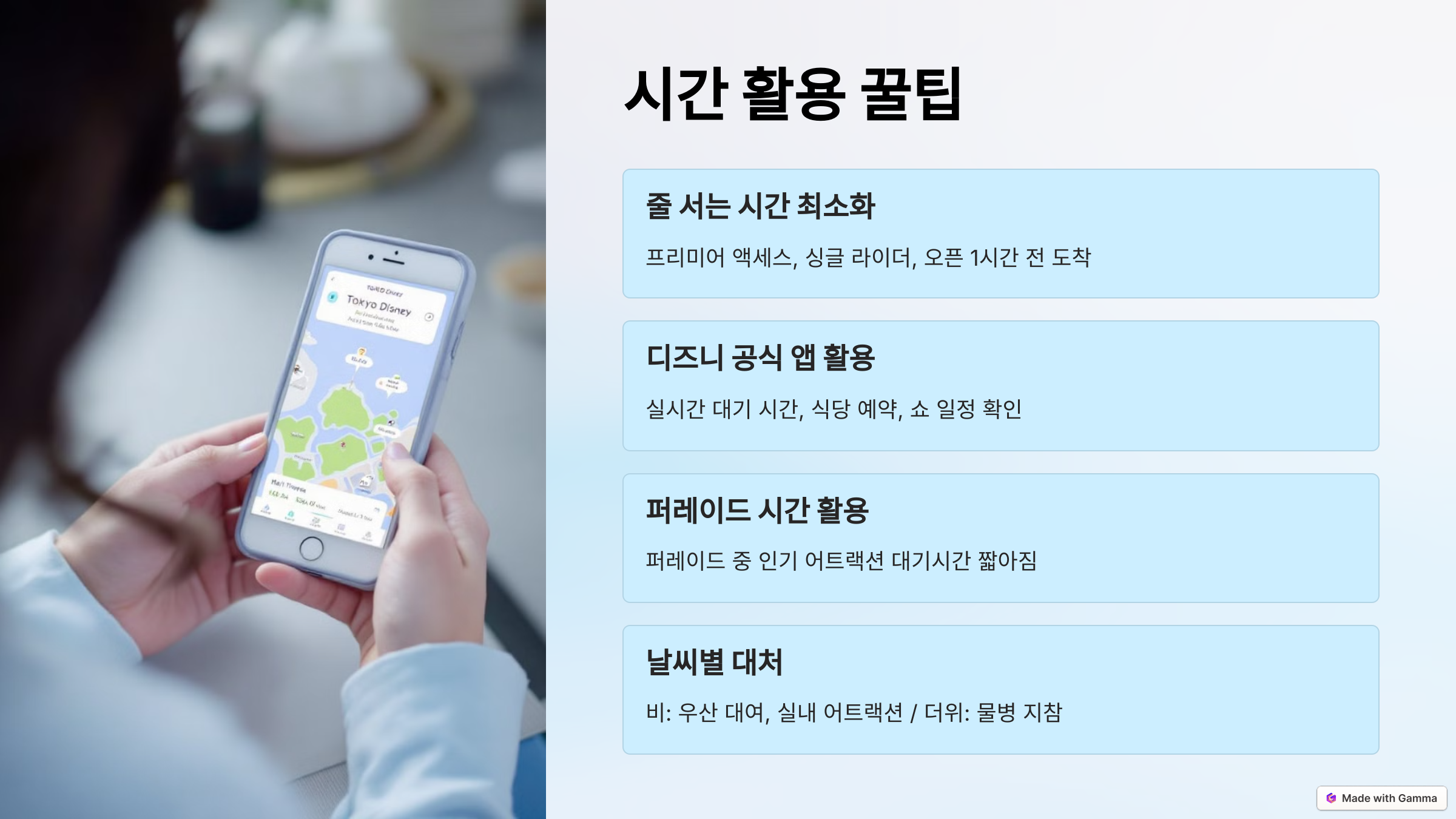 도쿄 디즈니랜드 시간 활용 꿀팁