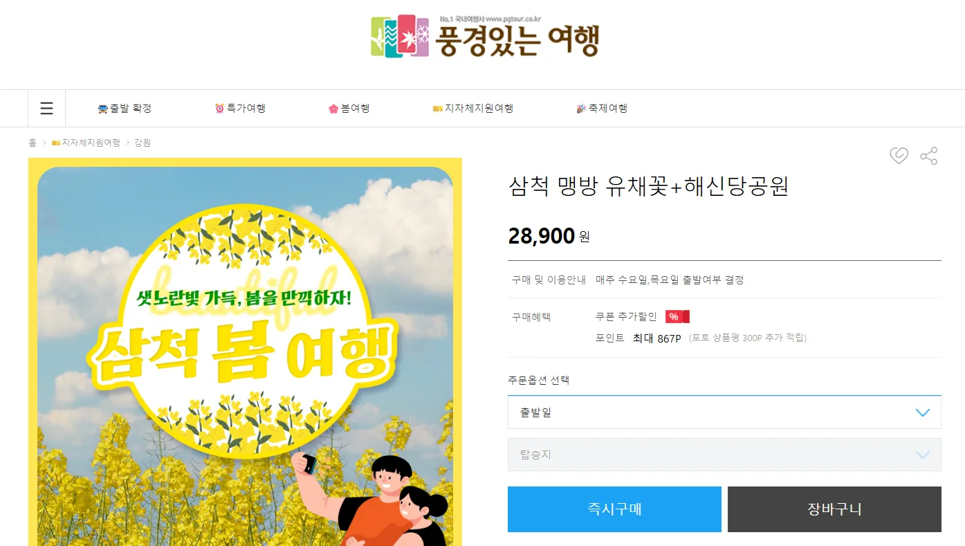 강원도 삼척 맹방 유채꽃 풍경있는여행 버스 투어
