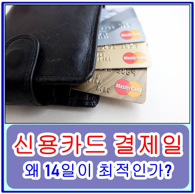 신용카드 결제일