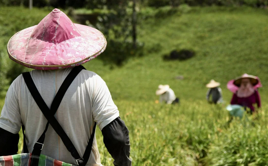 농업 기술 사진
