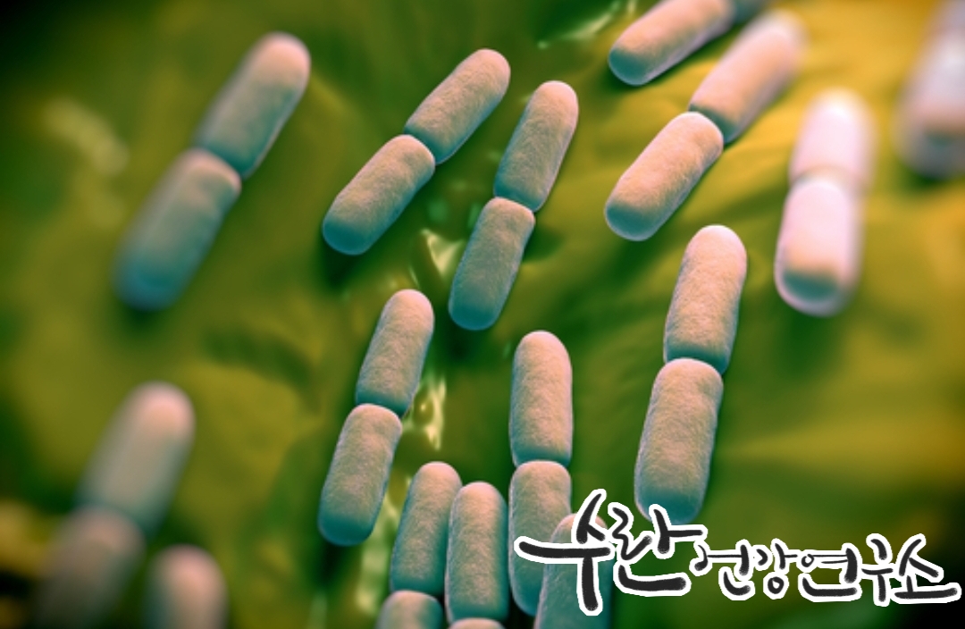 LGG 유산균 효능 부작용