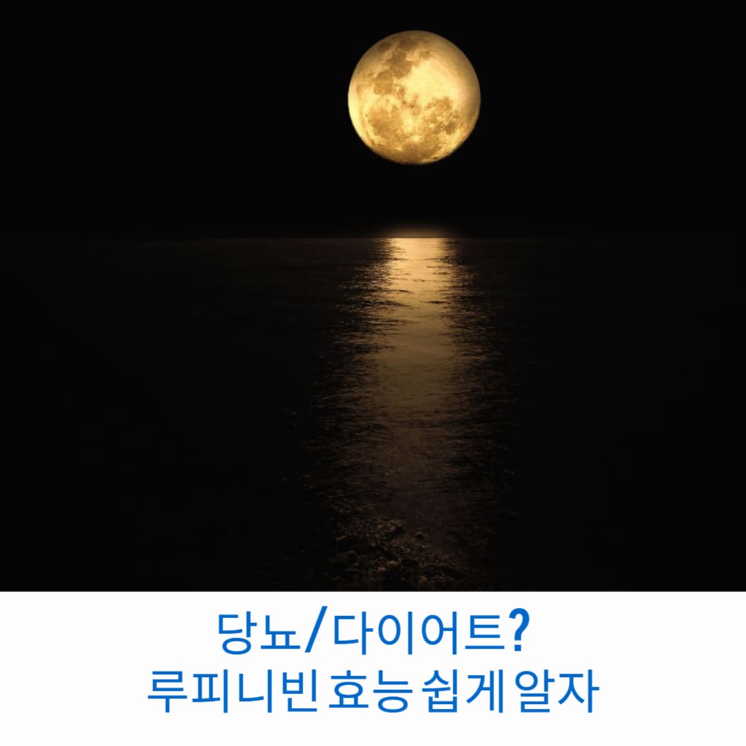 당뇨-다이어트-루피니빈-효능-쉽게-알자-썸네일