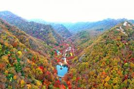 국립공원 예약통합시스템 바로가기