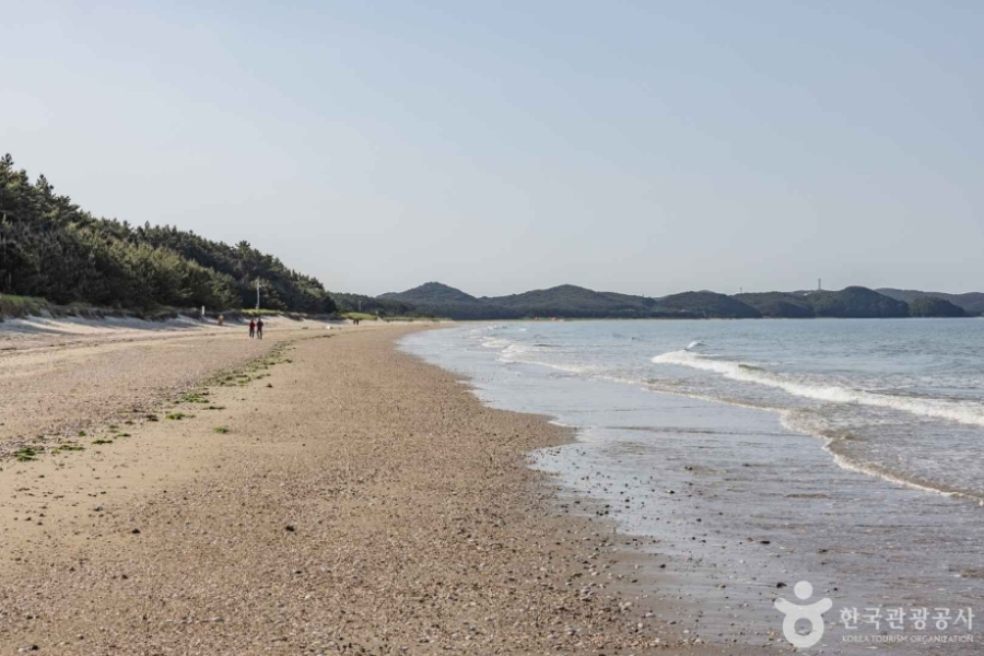 안면도 가볼만한 곳