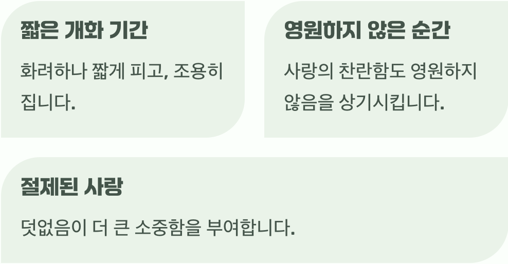 덧없이 지기에 더욱 애틋한