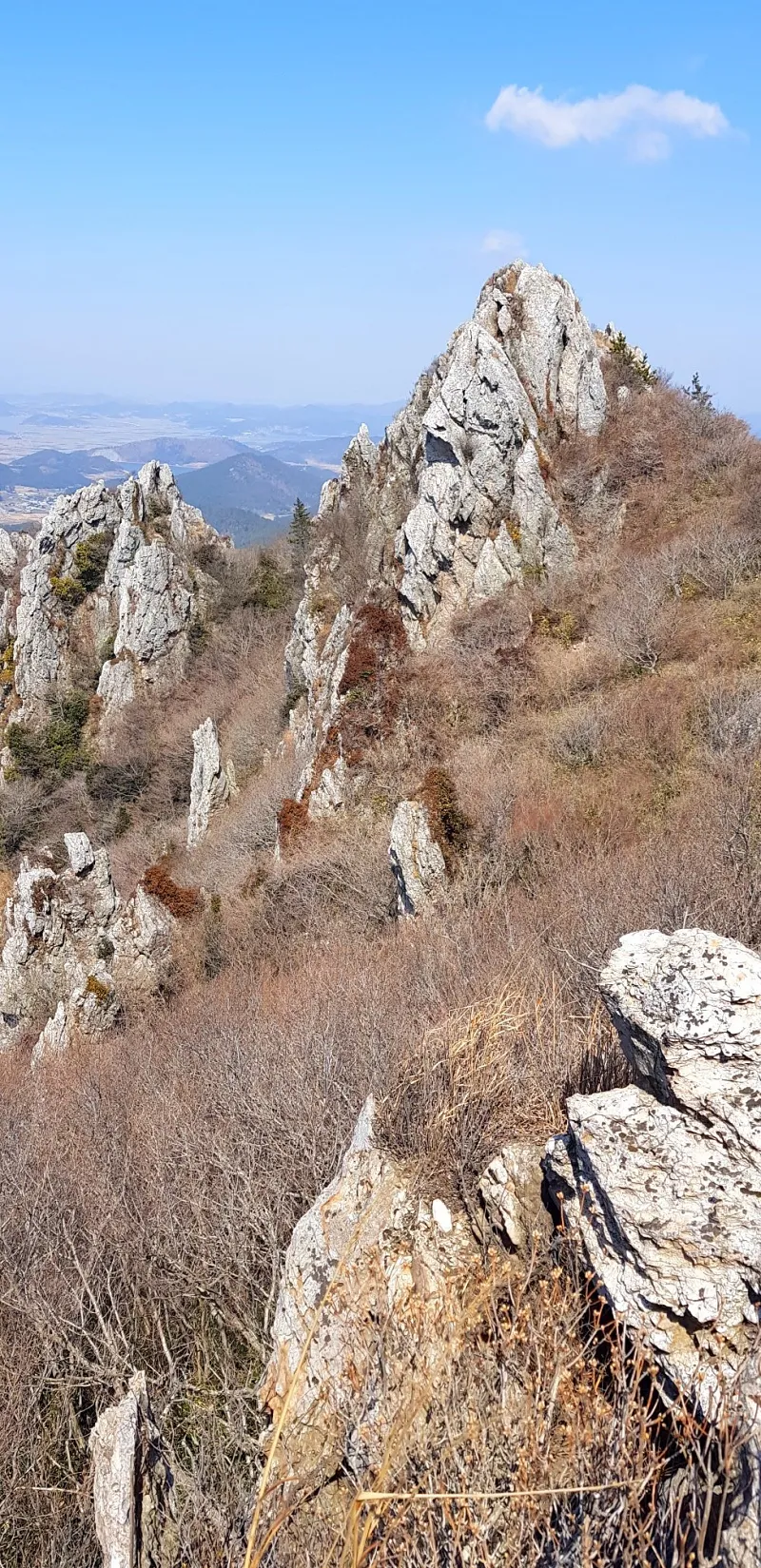 해남 달마산